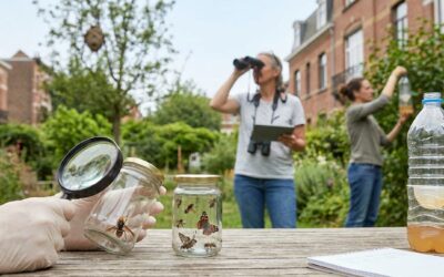 Aziatische horzel in Elsene 1050: Een complete gids om actie te ondernemen en de biodiversiteit te beschermen
