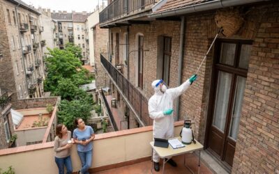 Wespen in Sint-Joost: Interventiewijzer en tarieven (1210)