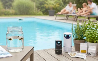 Guêpes autour d&rsquo;une piscine : Solutions et conseils d&rsquo;experts Pest Patrol