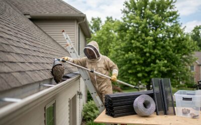 Nid de guêpe ou frelon dans une gouttière : solutions et tarifs